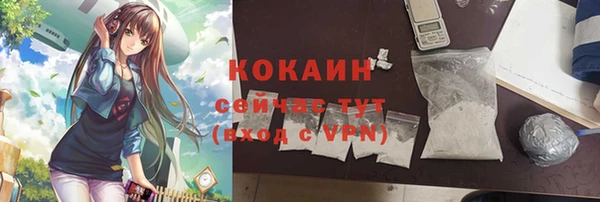 дмт Дмитров
