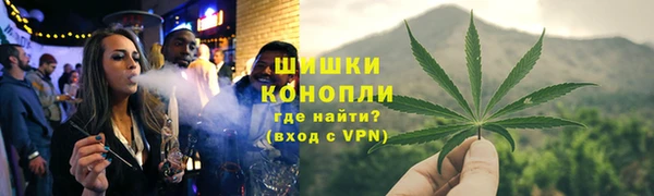 дмт Дмитров