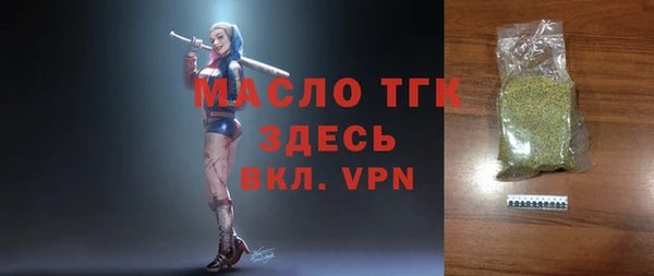 дмт Дмитров