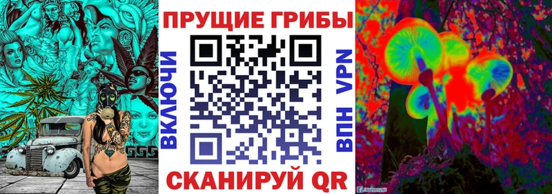 Галлюциногенные грибы мухоморы  магазин    Черкесск 